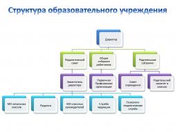 Структура образовательного учреждения